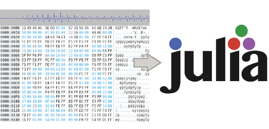 Raw Binary Data in Julia